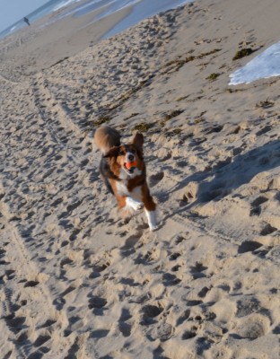 B at the beach