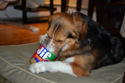 bailey - JIF