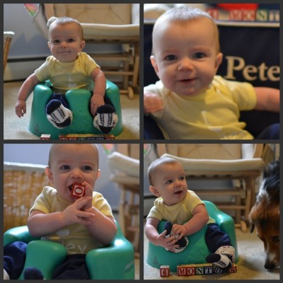 6 month collage