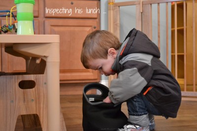 inspecting lunch