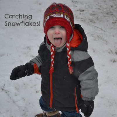 snowflake catching