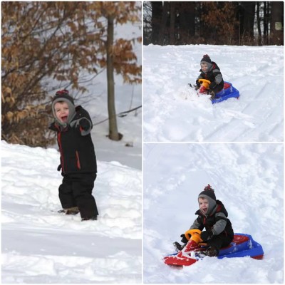 sledding collage